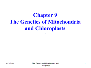 线粒体和叶绿体遗传课件.ppt