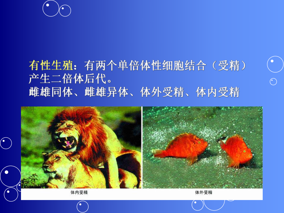 生殖与胚胎发育课件.ppt_第3页