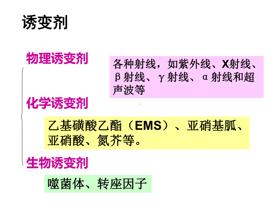 诱变育种概述课件.ppt_第2页