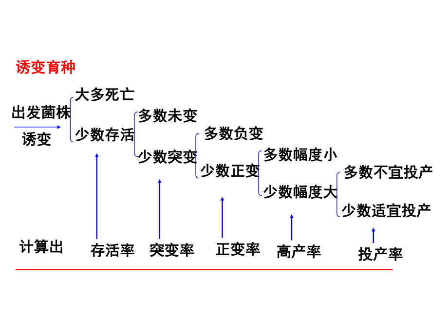 诱变育种概述课件.ppt_第3页