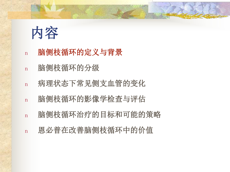 脑缺血侧枝循环治疗(公司)课件.ppt_第2页