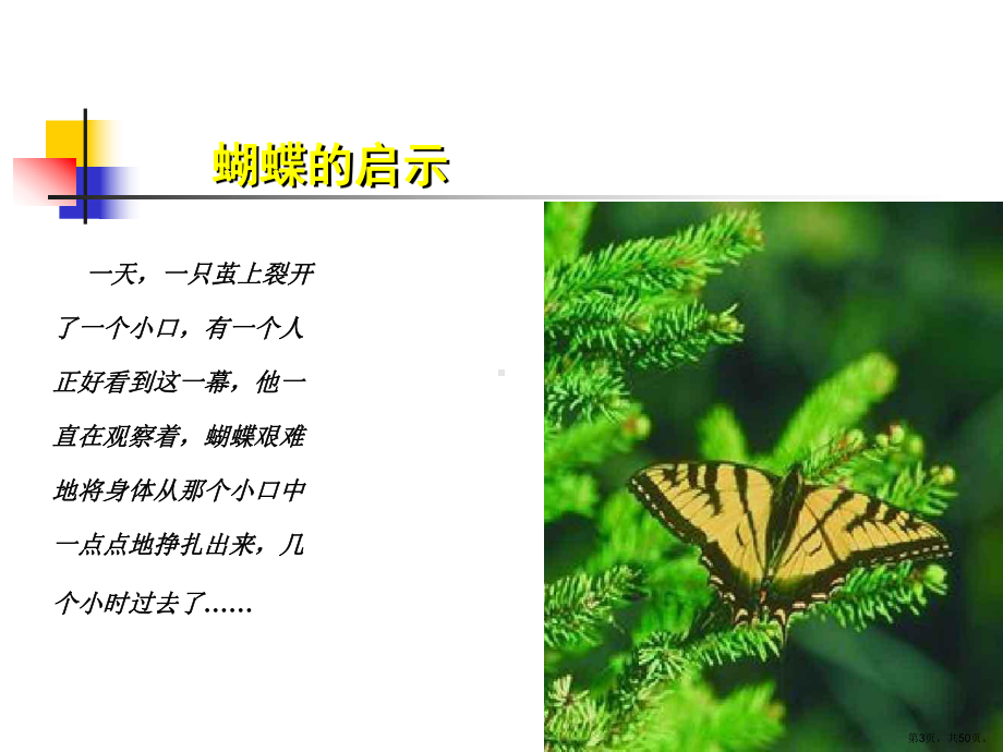 逆商助你成功课件.ppt_第3页