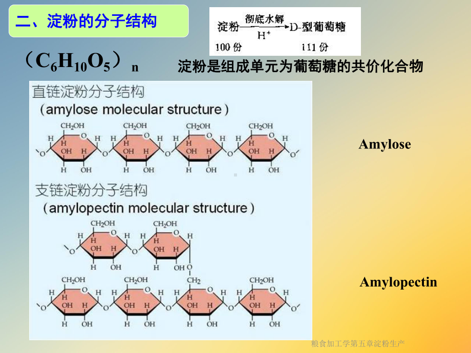 粮食加工学第五章淀粉生产课件.ppt_第3页