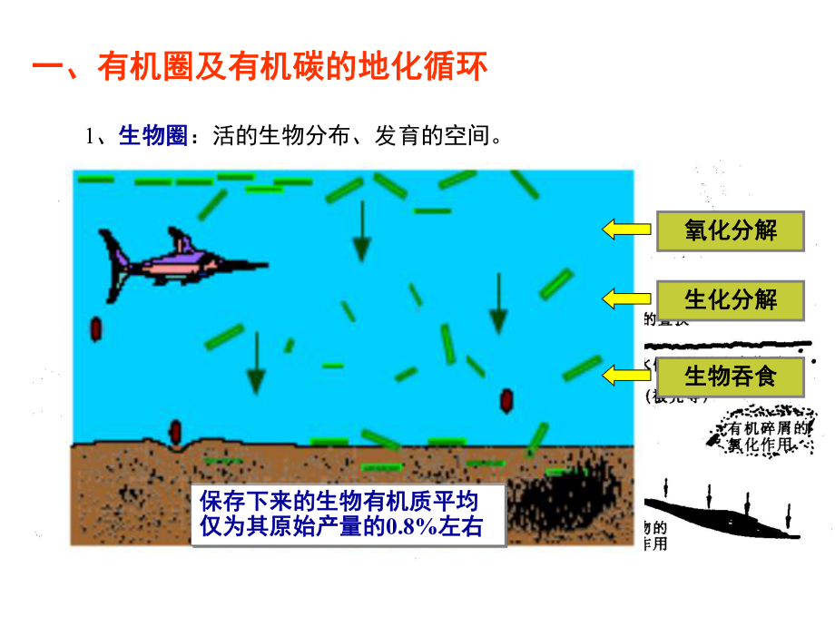 有机沉积作用分析课件.ppt_第2页