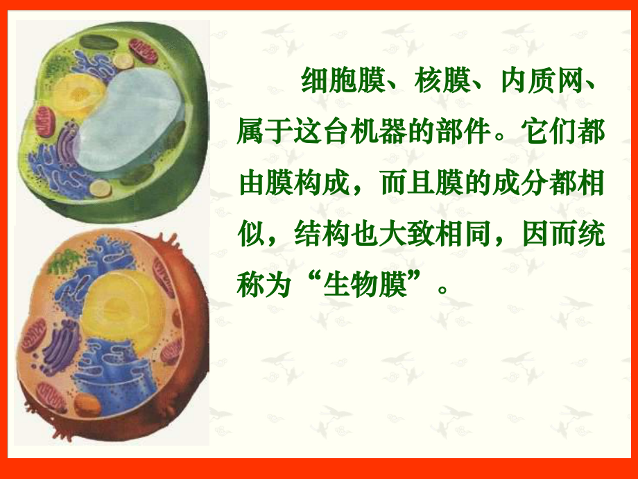 细胞的生物膜系统1优秀课件.ppt_第1页