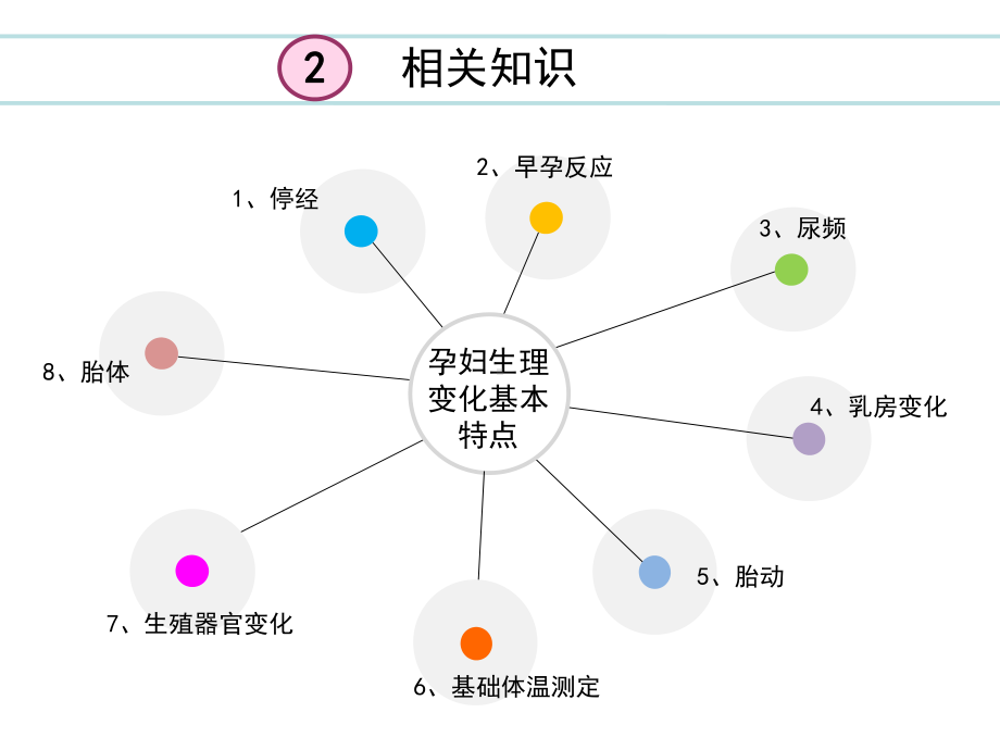 照料孕产妇课件.ppt_第3页