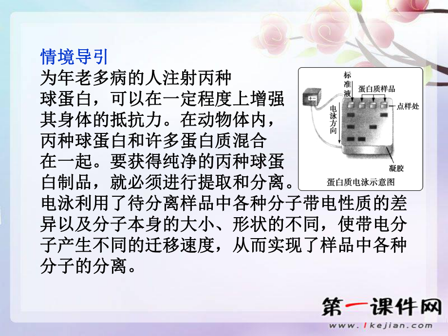 血红蛋白的提取和分离-ppt课件(同名36).ppt_第3页