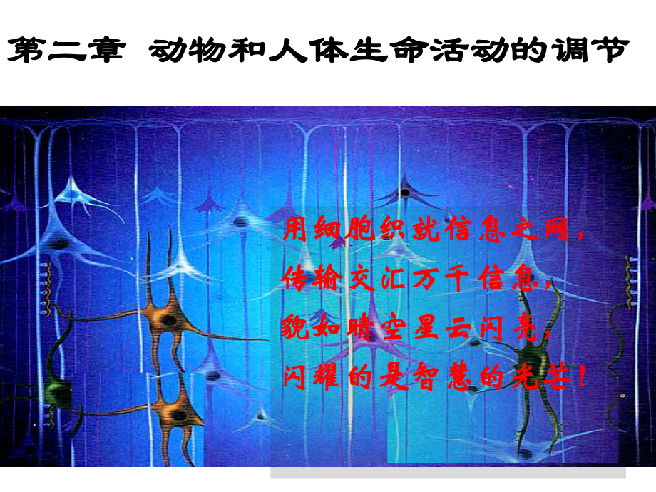 通过神经系统的调节上课很实用课件.ppt_第1页