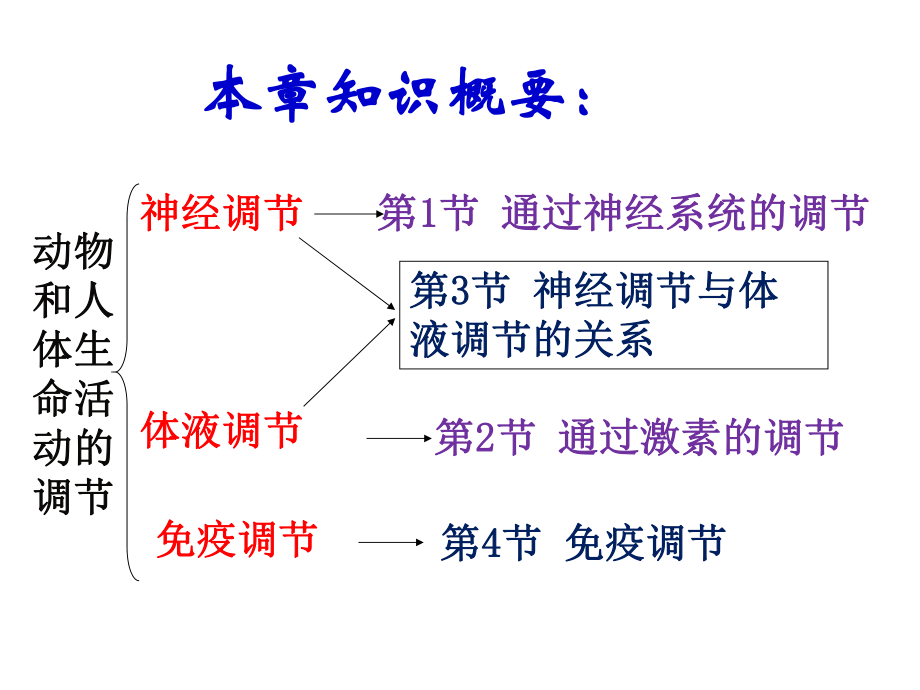 通过神经系统的调节上课很实用课件.ppt_第2页