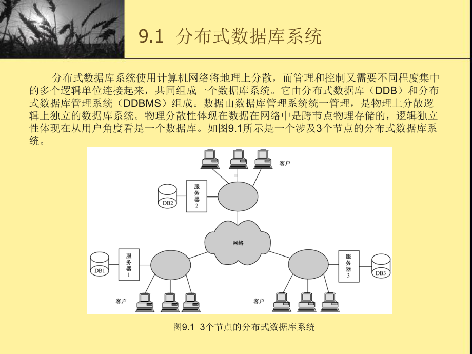 数据库的新技术课件.ppt_第2页