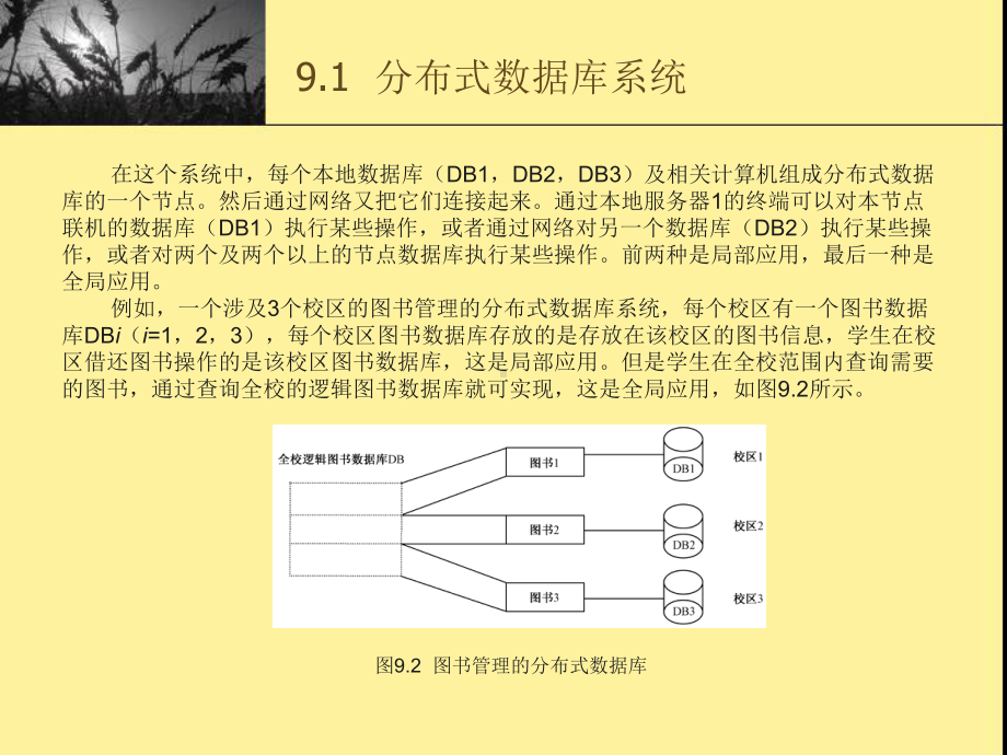 数据库的新技术课件.ppt_第3页