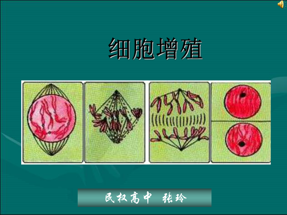 细胞增殖41(说课)优秀课件.ppt_第1页