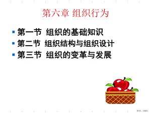 组织结构课件1.ppt