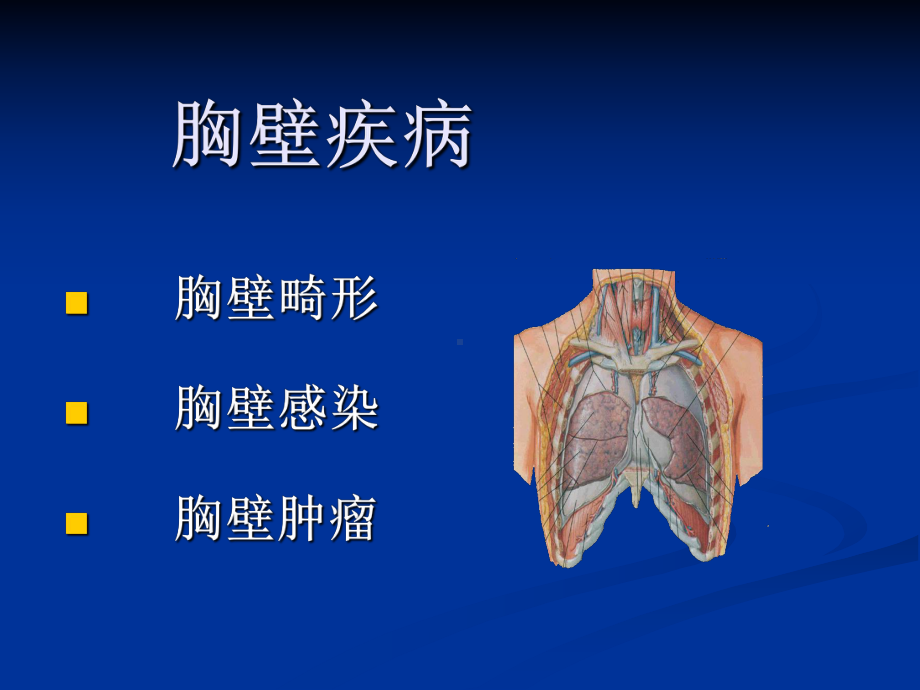 胸壁疾病脓胸课件.ppt_第1页