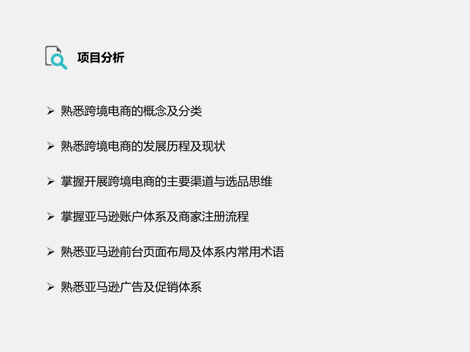 网店运营实务项目八跨境电商运营课件.pptx_第3页