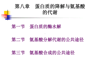 蛋白质的降解与氨基酸的代谢江大食品生化课件.ppt