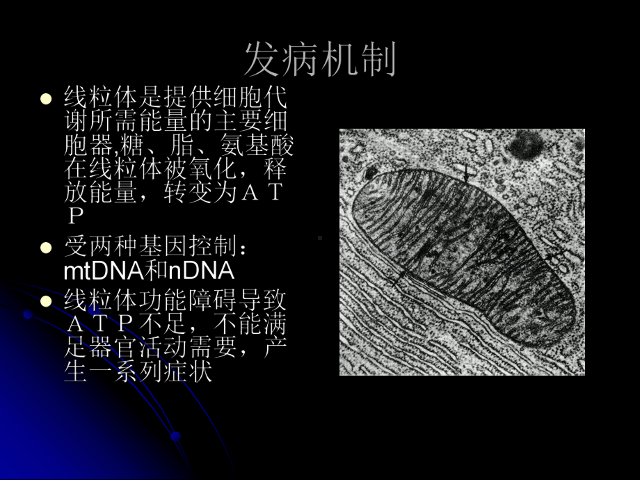 线粒体脑肌病2课件.ppt_第3页