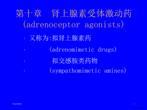 药理学-第10章肾上腺素受体激动药课件.ppt