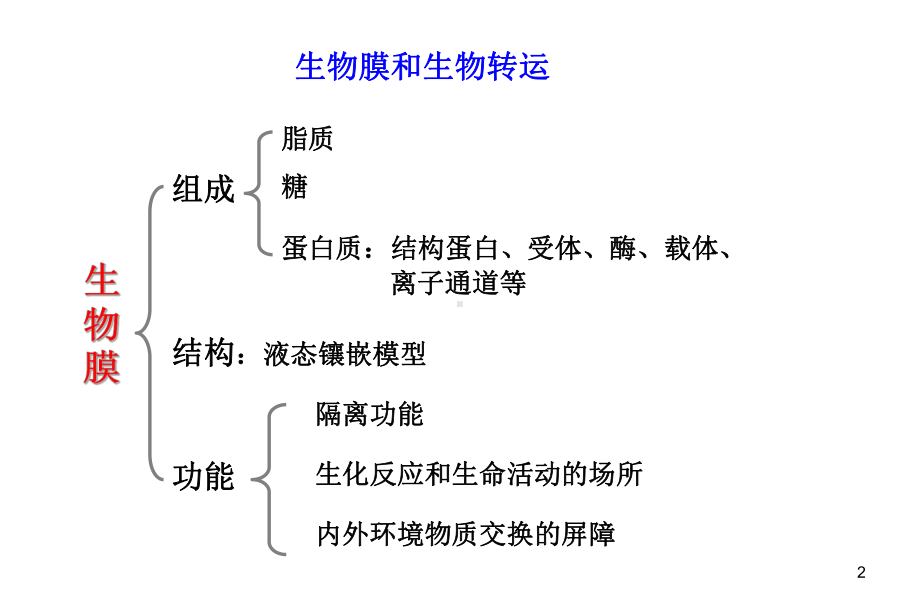 药物毒物的吸收、分布、生物转化与排泄课件.ppt_第2页