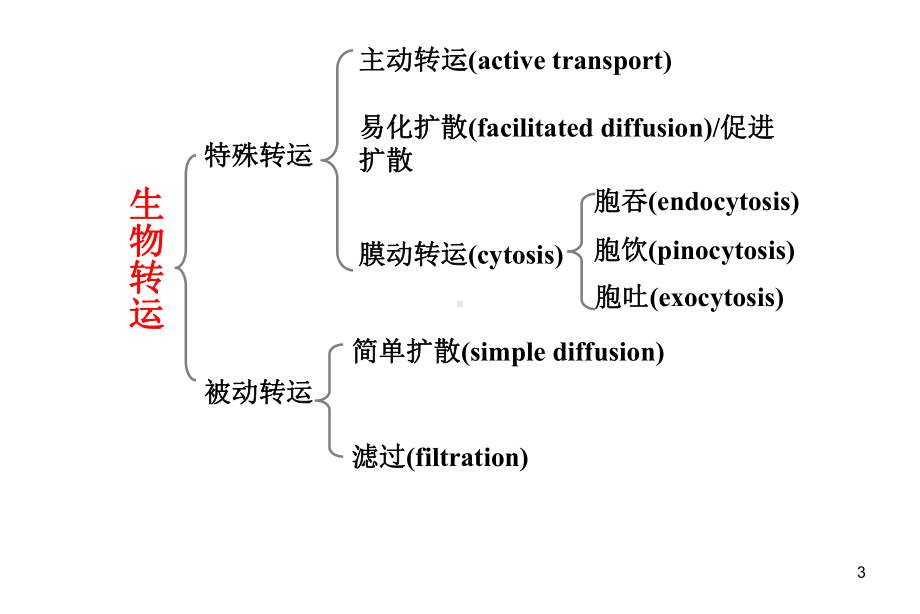 药物毒物的吸收、分布、生物转化与排泄课件.ppt_第3页