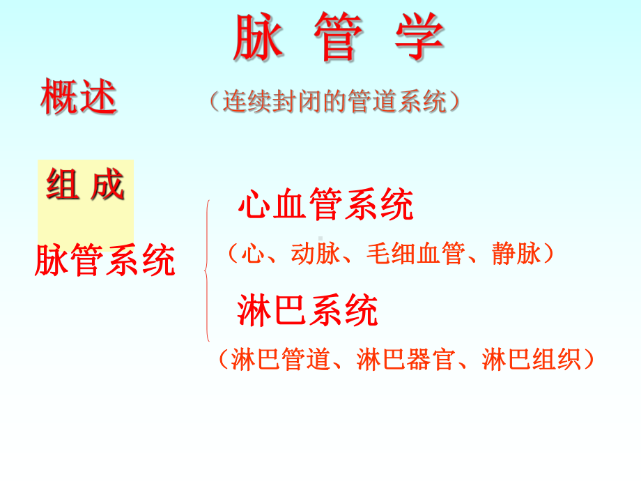 系统解剖—心血管系统心课件.ppt_第2页