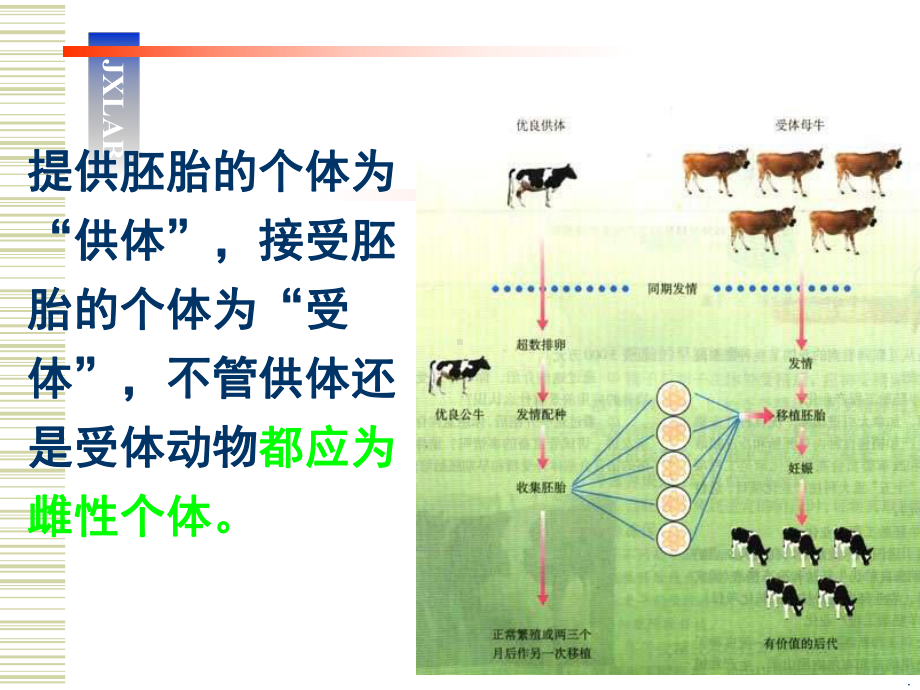 胚胎工程技术课件.ppt_第3页