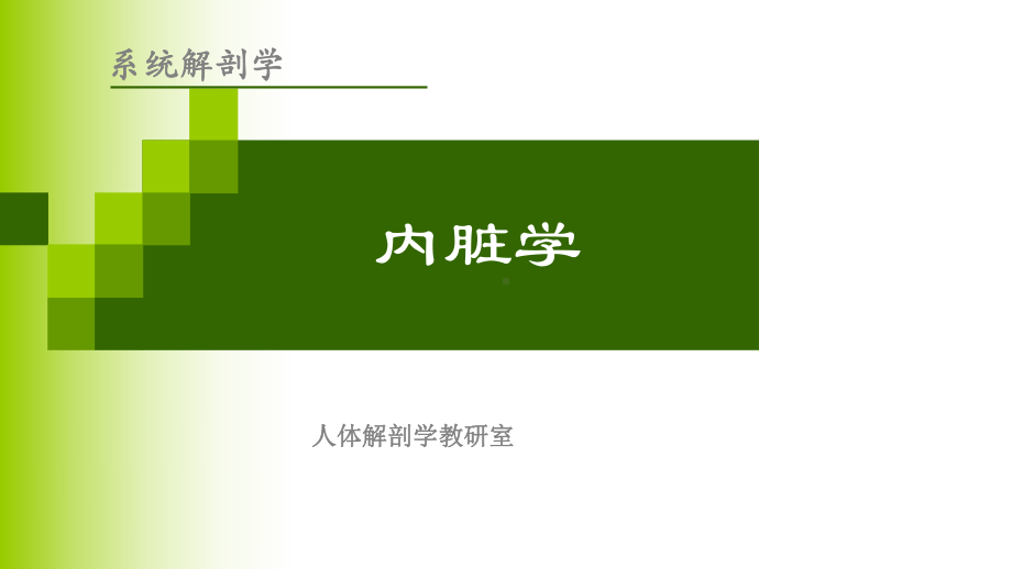 解剖学基础第三章消化系统课件.ppt_第2页