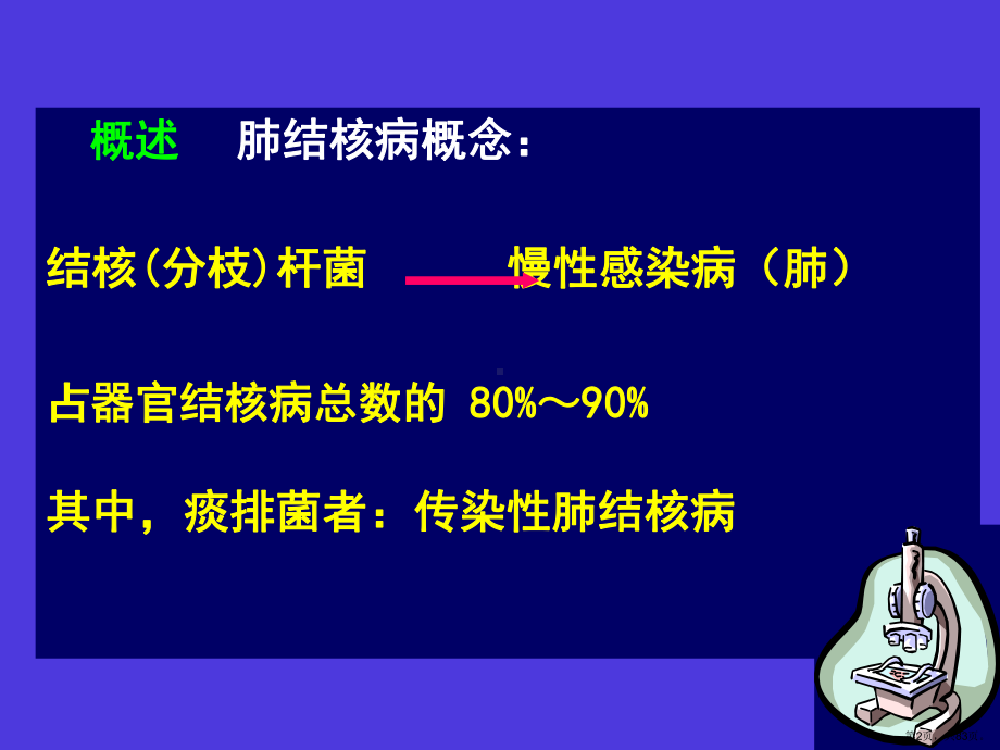 肺结核的诊断和治疗精选课件.ppt_第2页