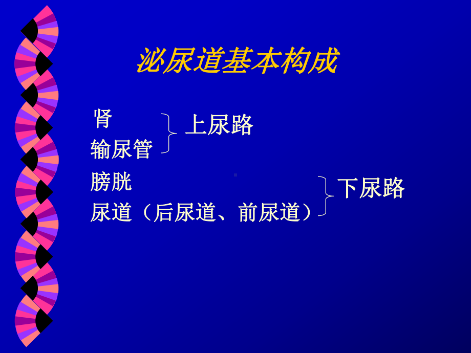 诊断学课件血尿-1.ppt_第3页