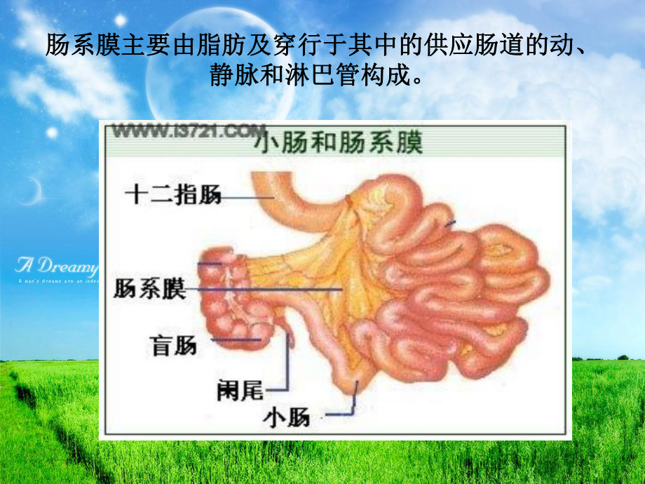 肠系膜脂膜炎的影像诊断课件.ppt_第2页