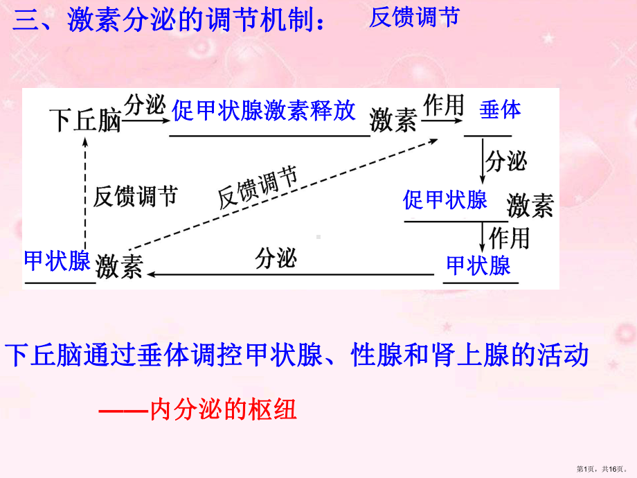 胰岛素分泌不足课件.ppt_第1页