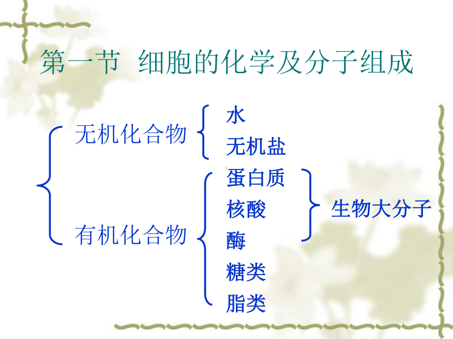 细胞的分子基础及基本概念课件.ppt_第2页