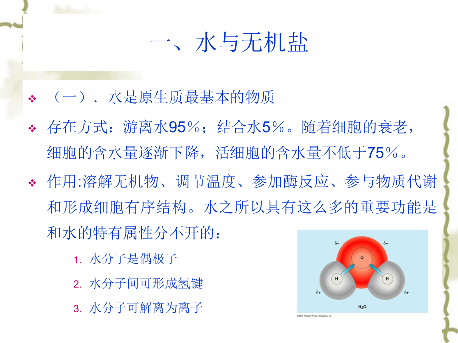 细胞的分子基础及基本概念课件.ppt_第3页