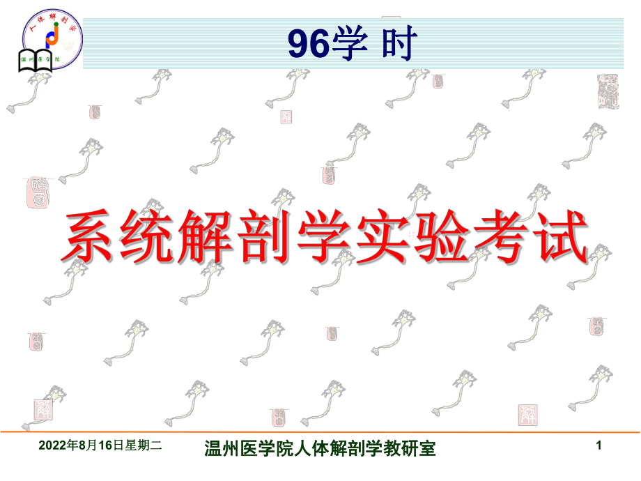 系解实验2《系统解剖学》实验图片考试课件.ppt_第1页