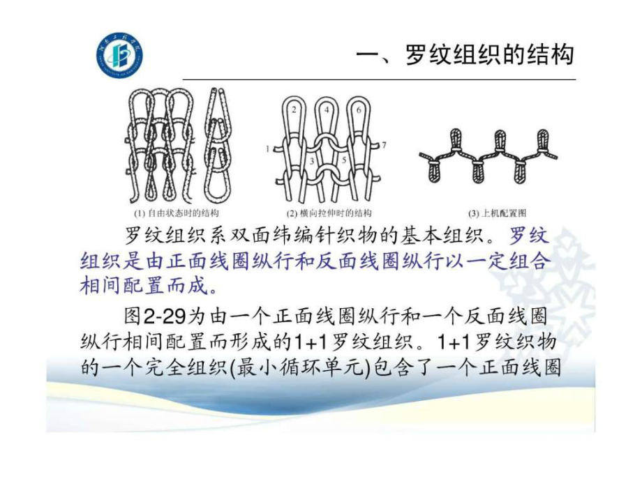 罗纹组织与编织工艺课件.ppt_第3页