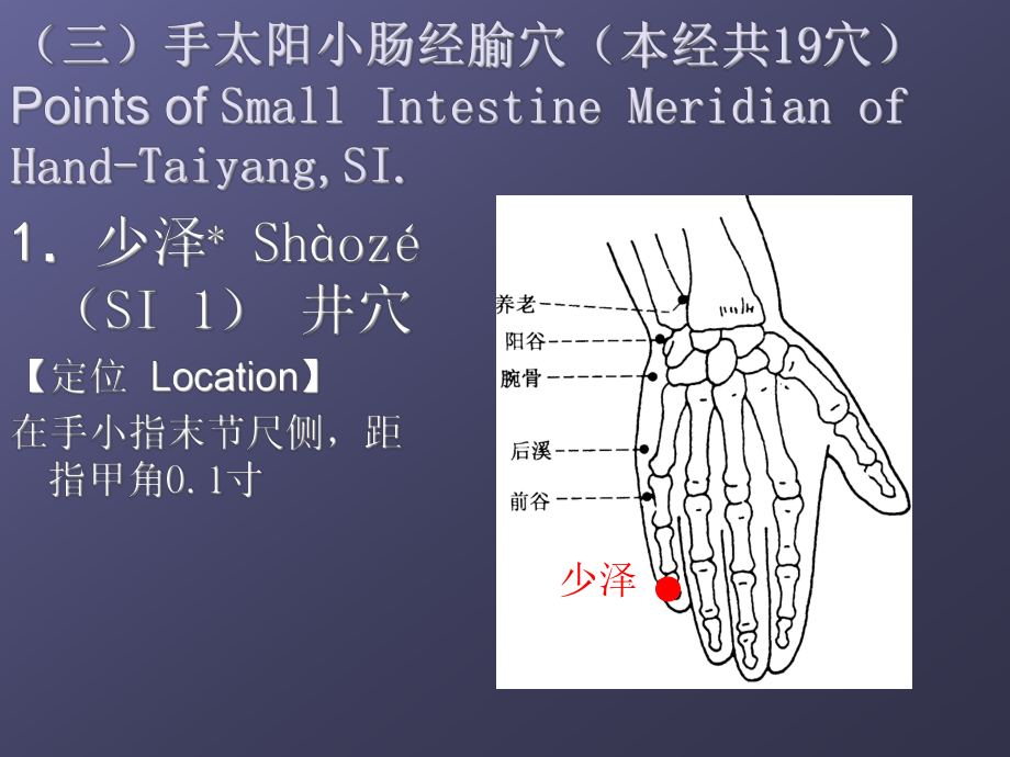 经络学手太阳小肠经详解课件.ppt_第2页