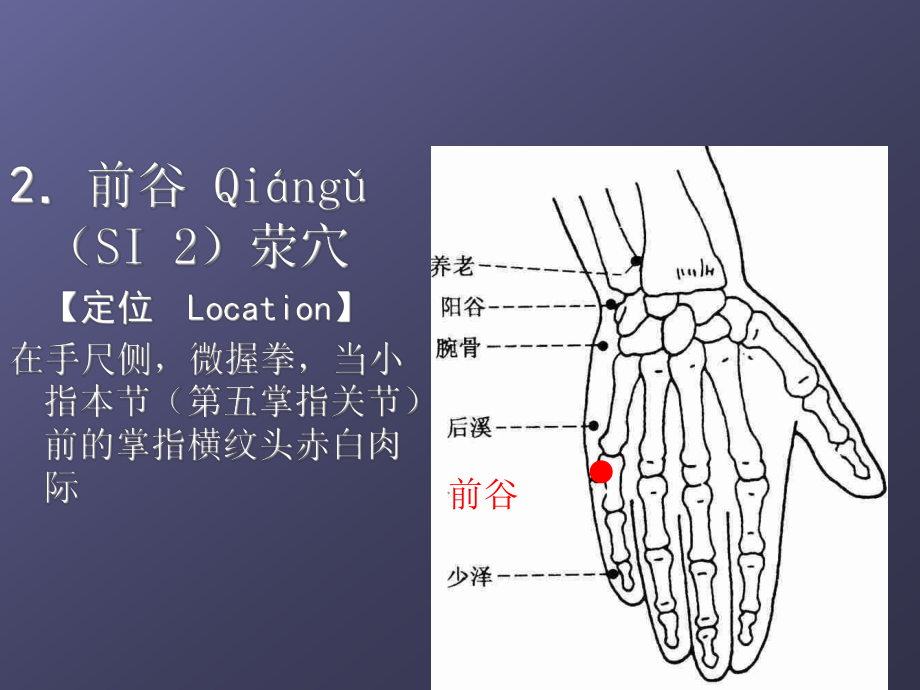 经络学手太阳小肠经详解课件.ppt_第3页