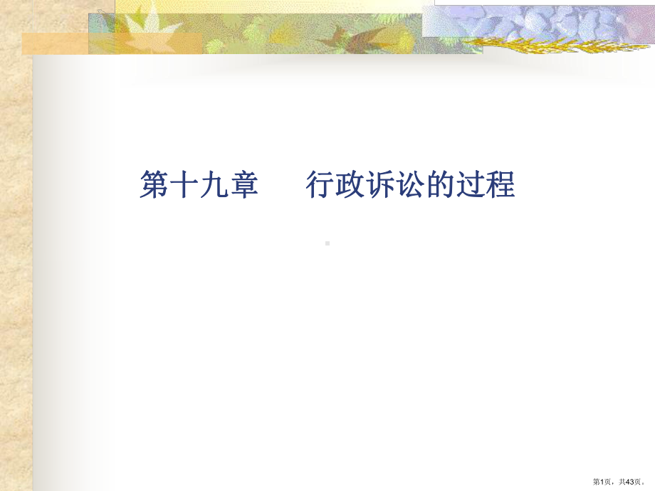 行政诉讼的过程精选课件.ppt_第1页