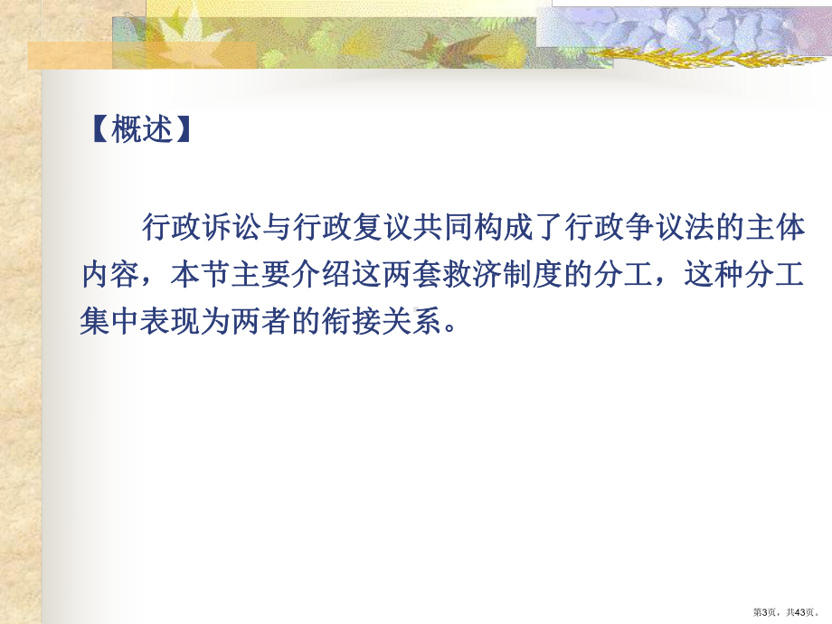 行政诉讼的过程精选课件.ppt_第3页