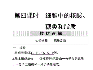 细胞中的核酸、糖类和脂质课件.ppt