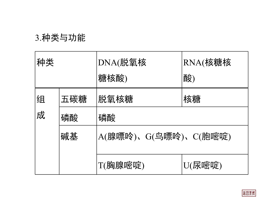 细胞中的核酸、糖类和脂质课件.ppt_第2页