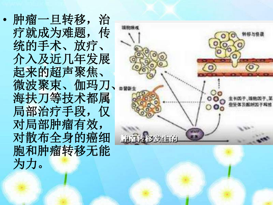 肿瘤转移的发生和其它课件.ppt_第2页