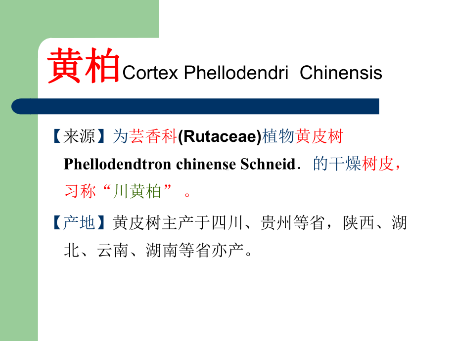 芸香科黄柏枳壳课件.ppt_第1页