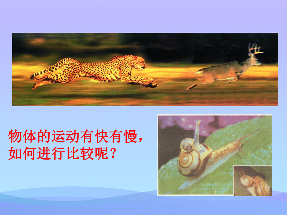 速度21苏科版优秀课件.ppt_第2页