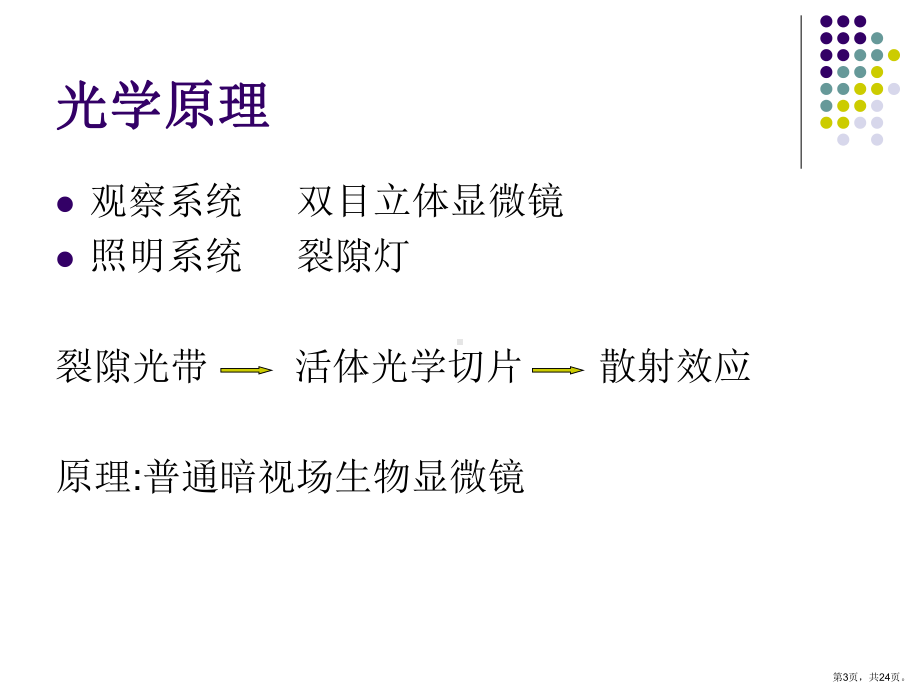 裂隙灯显微镜解析课件.ppt_第3页