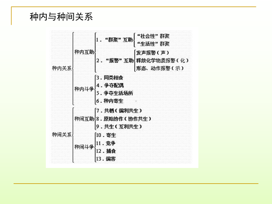 群落生态学修14课件.ppt_第1页