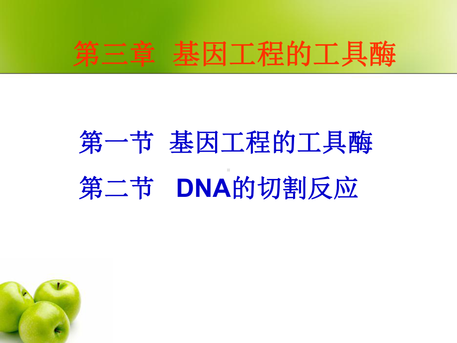 基因工程的工具酶课件.ppt_第1页