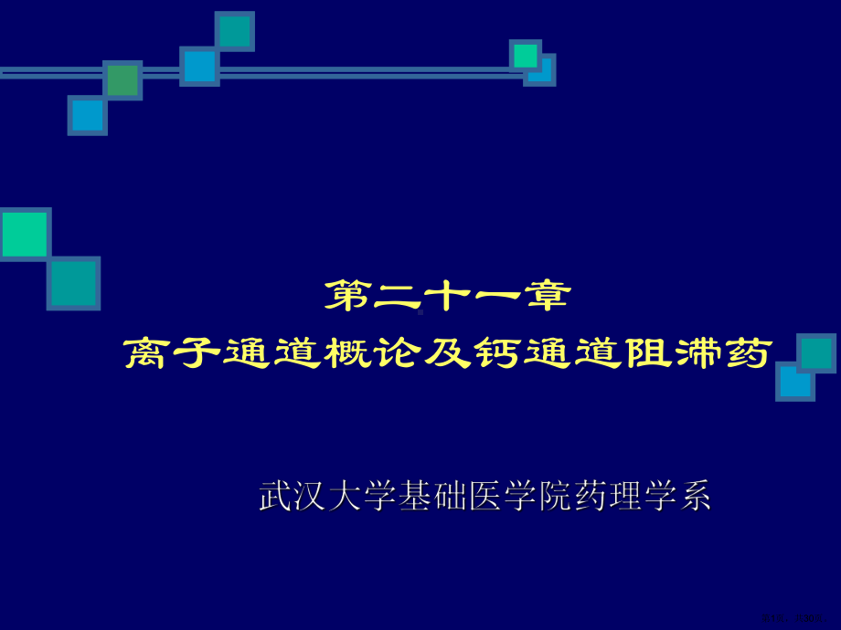 药理学离子通道概论及钙通道阻滞药.课件.ppt_第1页