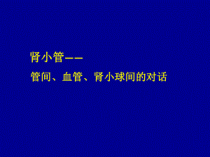 肾小管-管间、血管、肾小球间的对话课件.pptx