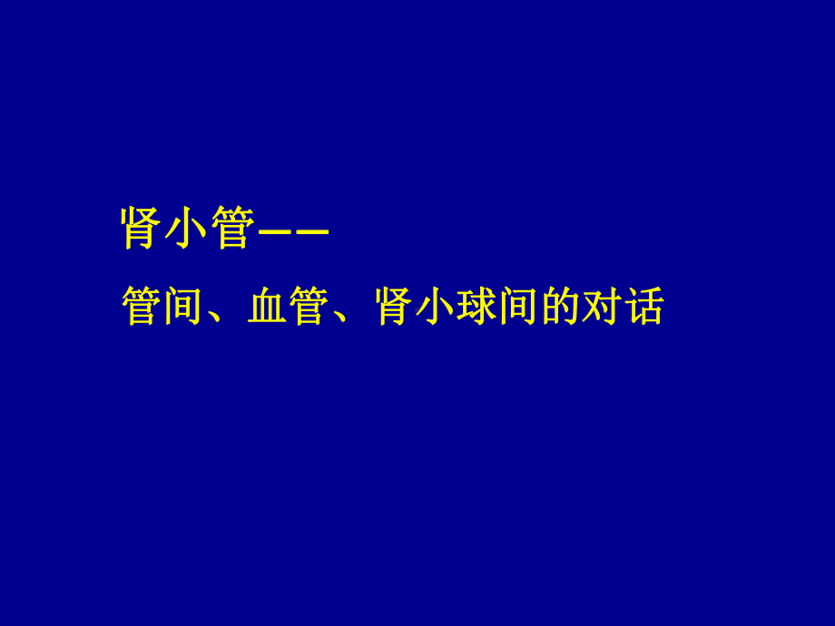 肾小管-管间、血管、肾小球间的对话课件.pptx_第1页